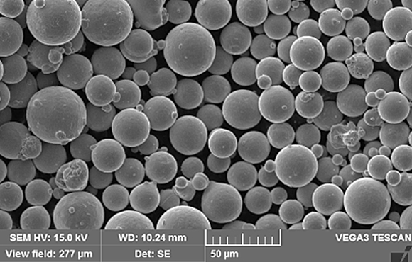 SEM of the powder particles